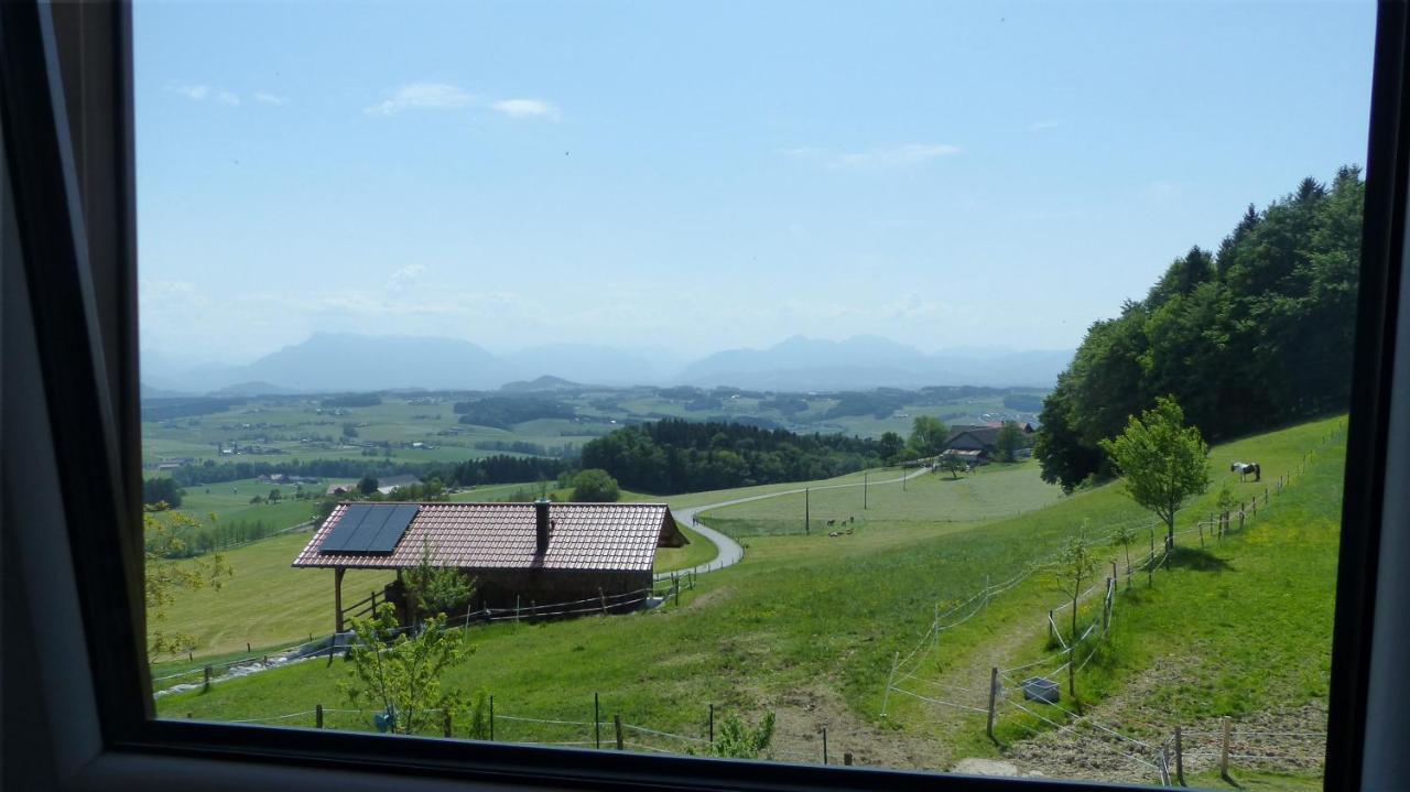 Ferienwohnung Steger Mattsee Esterno foto