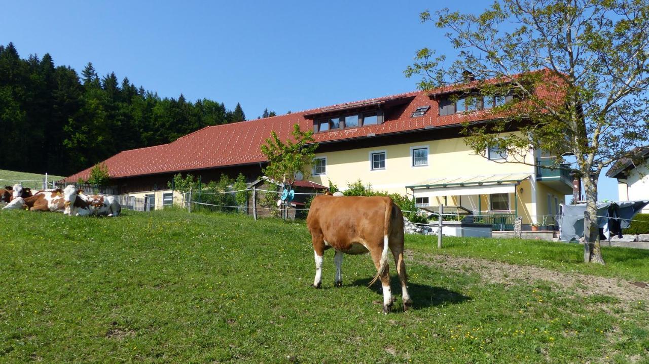 Ferienwohnung Steger Mattsee Esterno foto