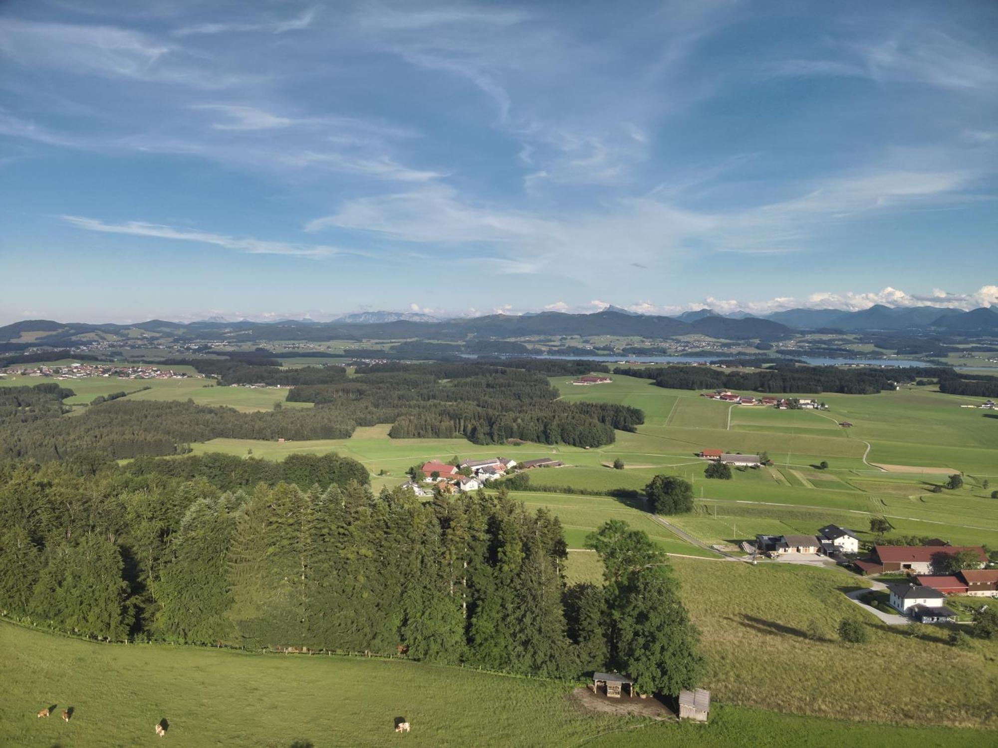 Ferienwohnung Steger Mattsee Esterno foto